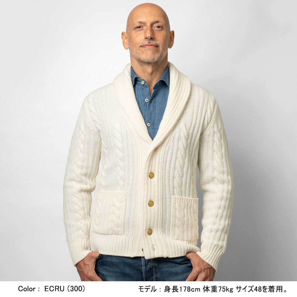 【返品不可】バフィー BAFY ニット ショールカラー カーディガン 3712 ウール ショールカラーカーディガン メンズ ニットカーディガン 襟付き 厚手 ジャケット ミドルゲージ super100's セーター ブランド イタリア ネイビー ブルー ブラック グレー オフホワイト